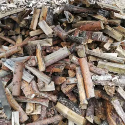 Stos pociętego drewna ułożonego pod zadaszeniem, widoczne kawałki kory i sęki, w tle łąka i drzewa.