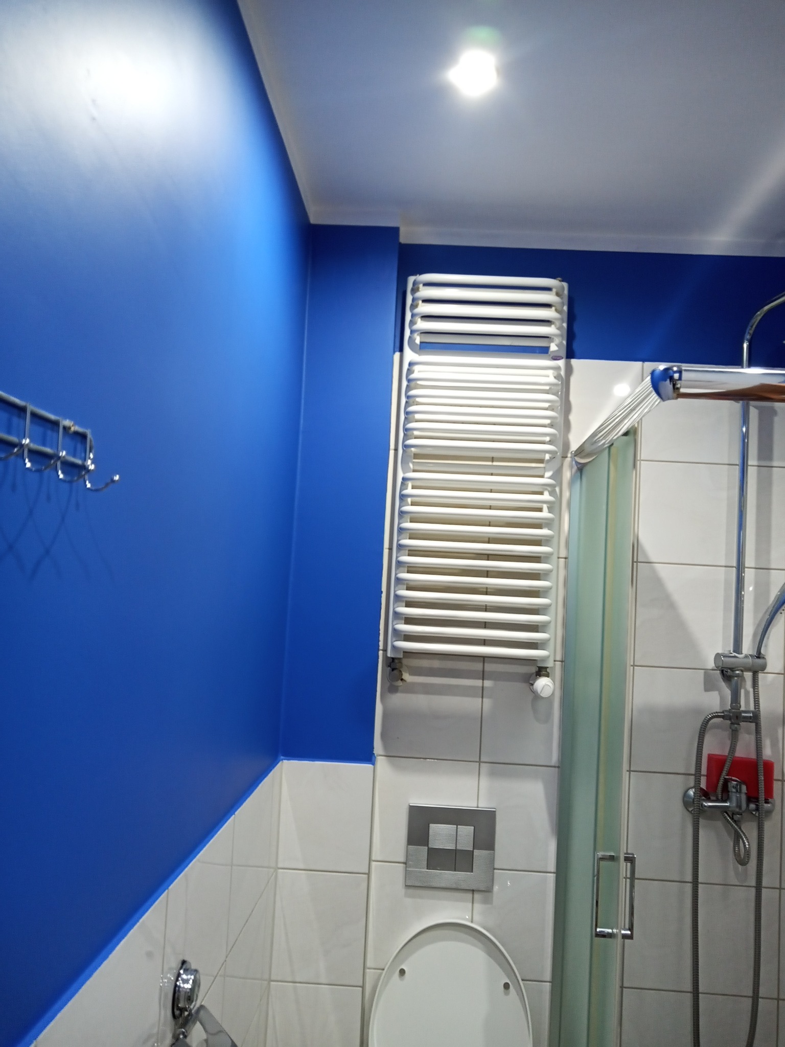 Niebieska ściana w łazience z białymi płytkami, grzejnik drabinkowy i kabina prysznicowa.