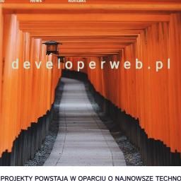 www.developerweb.pl