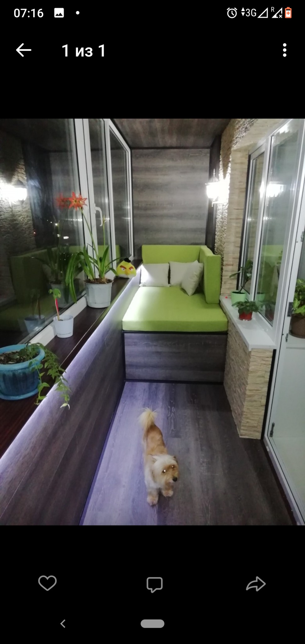 Aranżacja balkonu z oświetleniem LED podszafkowym, zielonym siedziskiem z poduszkami, roślinami w doniczkach i psem rasy Yorkshire Terrier na podłodze z paneli.