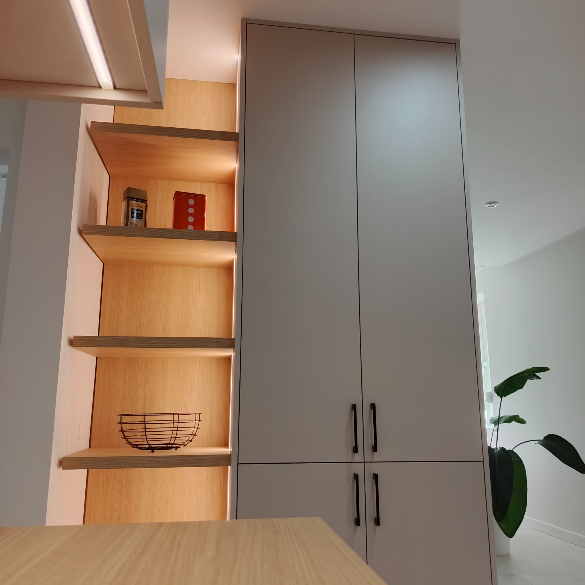 Nowoczesna szafa na wymiar z oświetleniem LED i drewnianymi półkami, na których stoją dekoracje. Obok widoczna roślina doniczkowa.