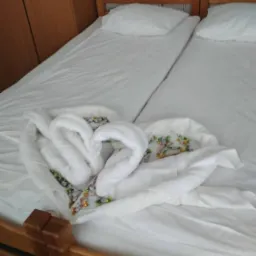 Łabędzie witające nowożeńców