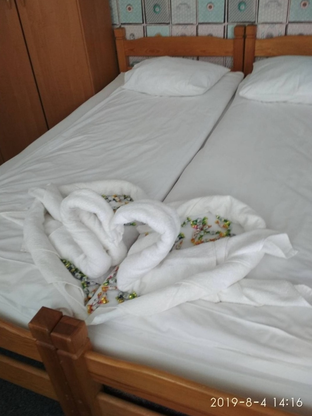 Łabędzie witające nowożeńców