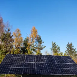 Cztery rzędy paneli fotowoltaicznych na metalowej konstrukcji, z widocznymi drzewami liściastymi i iglastymi w tle pod błękitnym niebem.