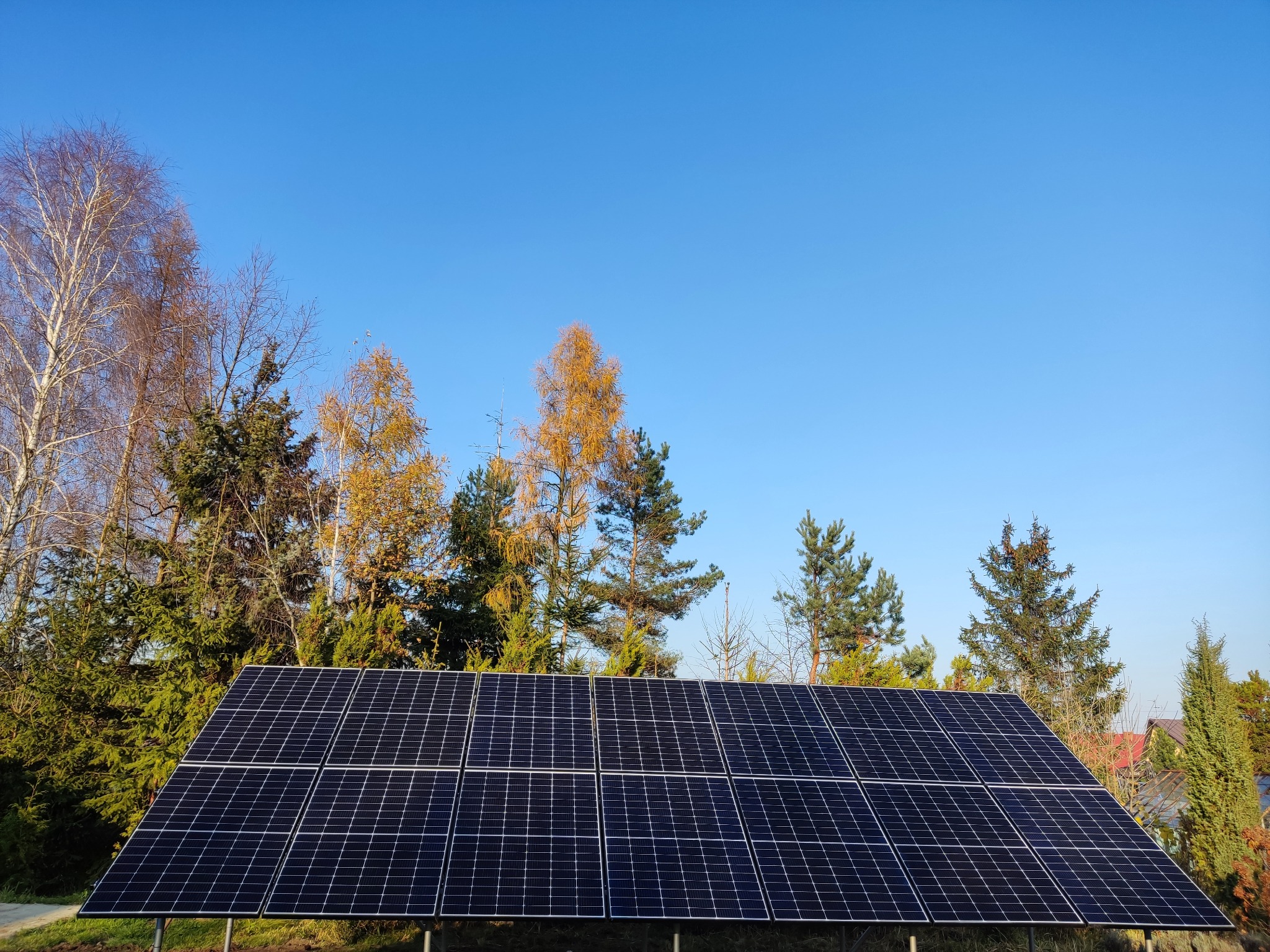 Cztery rzędy paneli fotowoltaicznych na metalowej konstrukcji, z widocznymi drzewami liściastymi i iglastymi w tle pod błękitnym niebem.