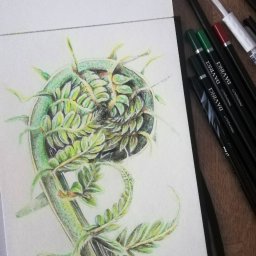 Liść paproci - praca na zamówienie. Kredki na kartonie.