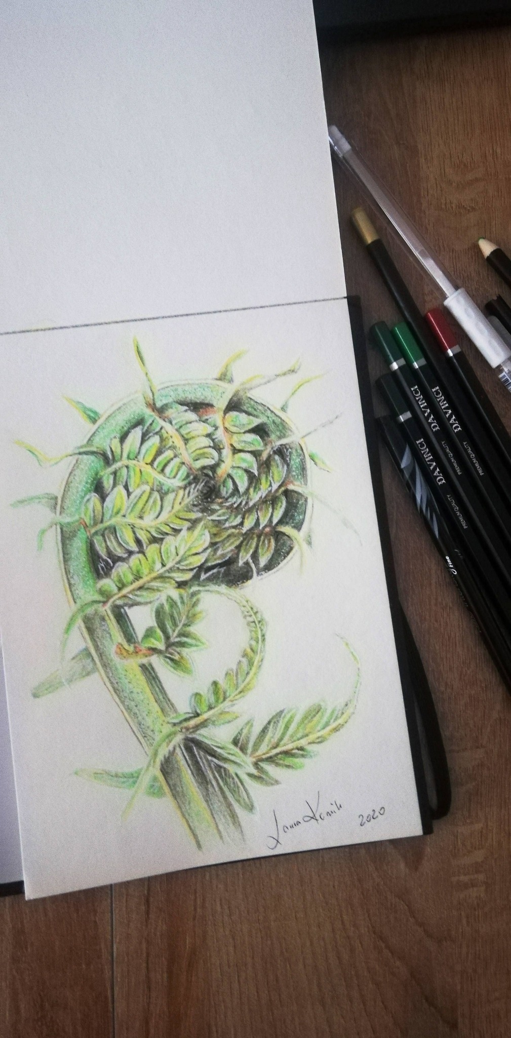Liść paproci - praca na zamówienie. Kredki na kartonie.
