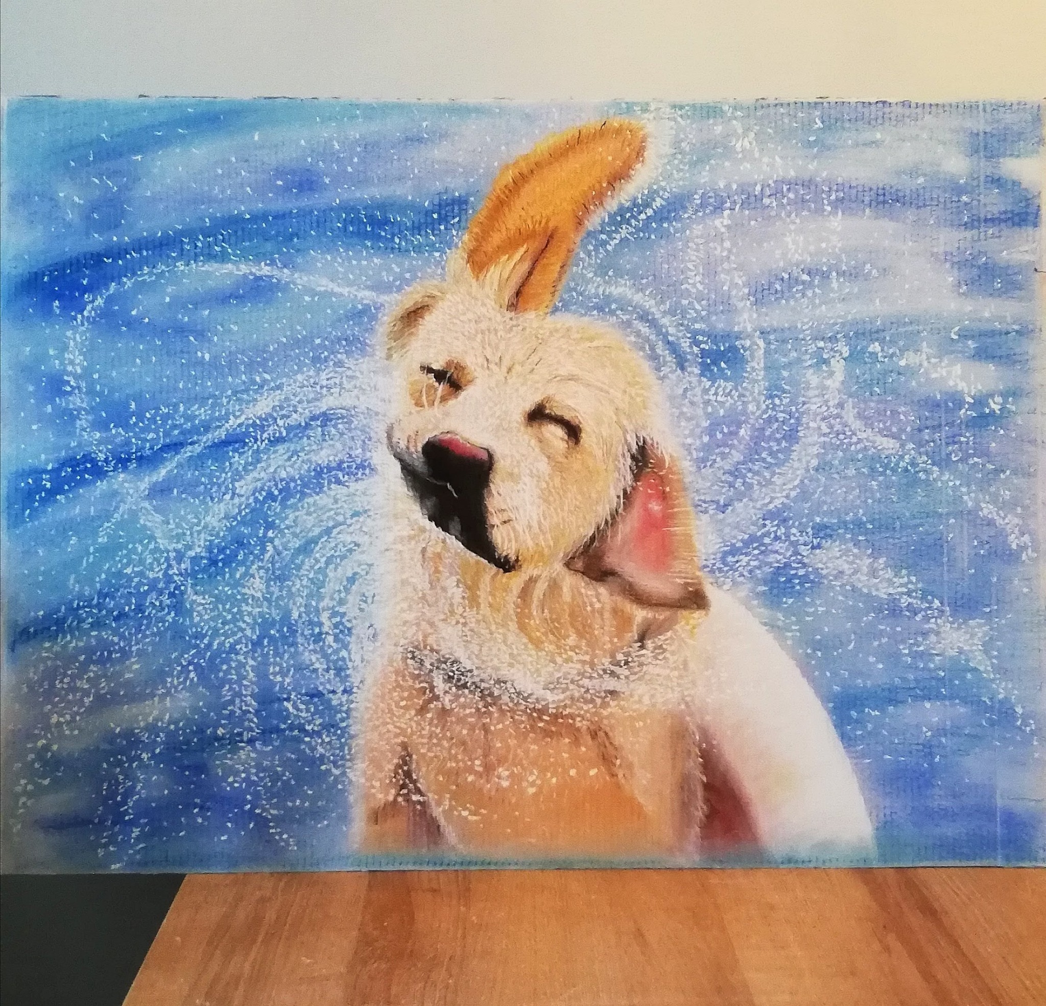 Pies w wodzie. Suche pastele na kartonie.