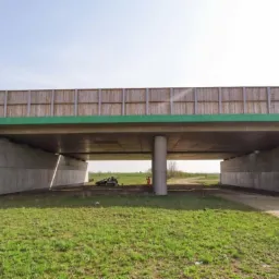 Betonowy wiadukt drogowy z drewnianymi panelami akustycznymi, widoczny z poziomu gruntu, z samochodem i osobą w odblaskowej kamizelce w tle, sugerujące prace budowlane lub inspekcyjne.