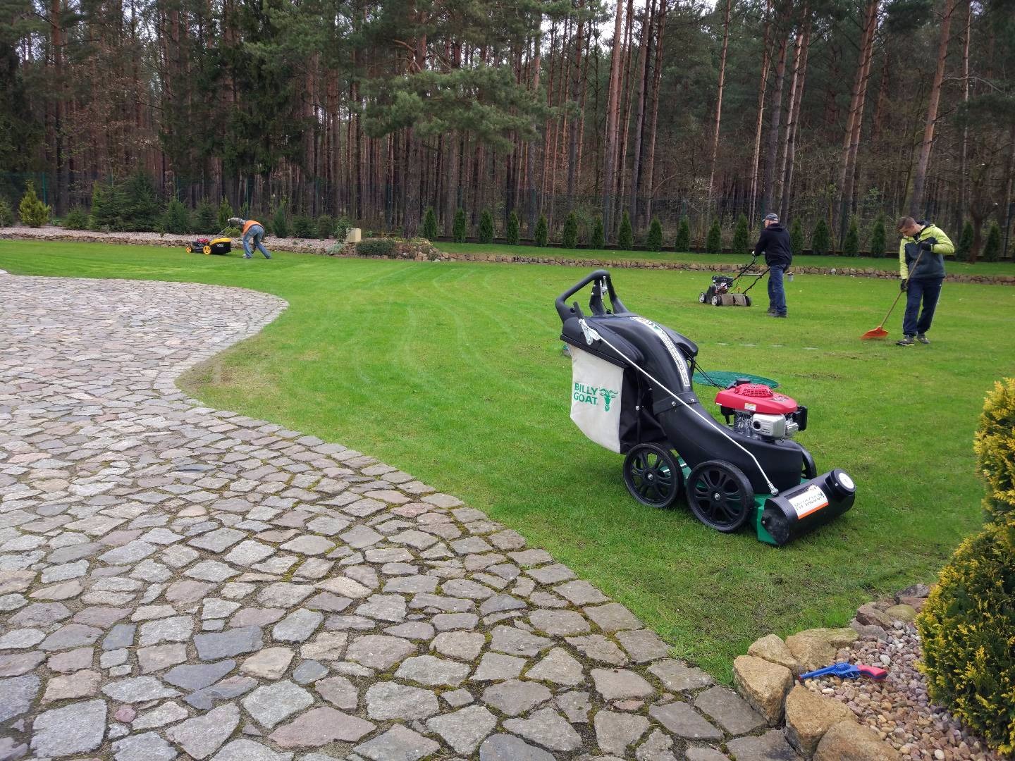 Trawnik po wertykulacji, widoczny wertykulator Billy Goat, trzech pracowników podczas prac pielęgnacyjnych na tle lasu i kamiennej ścieżki.
