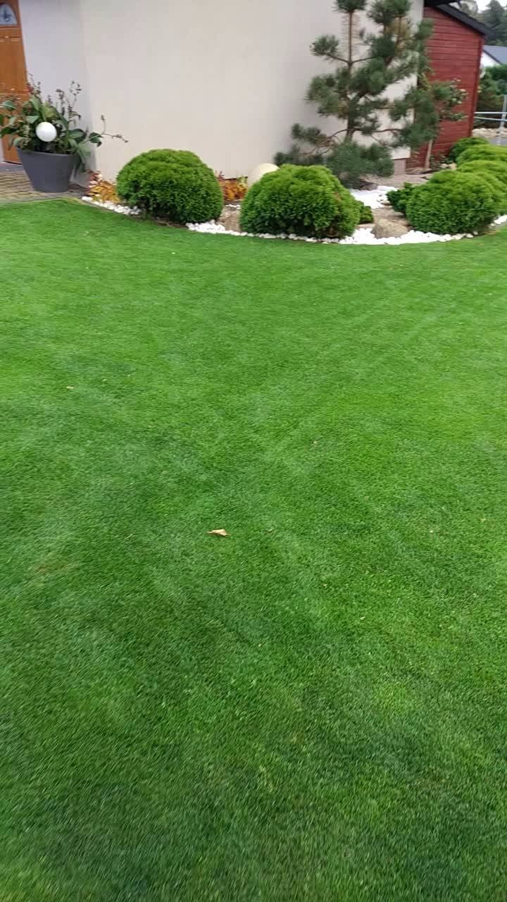 Zakładamy najlepsze Trawniki i niezawodne systemy automatycznego nawadniania