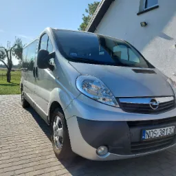 Srebrny van Opel Vivaro zaparkowany na brukowanym podjeździe przed domem z brązowymi drzwiami, widoczne drzewa w tle.