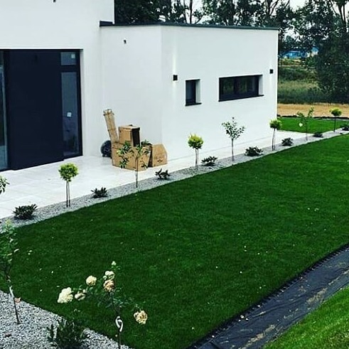 Nowoczesny ogród z równo przystrzyżonym trawnikiem, młodymi drzewkami wzdłuż ścieżki z jasnego żwiru i białymi różami na pierwszym planie, z białym budynkiem w tle i kartonami na tarasie.