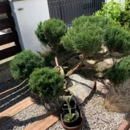 Ogród z kulistymi krzewami, ścieżką z drewnianych desek i kamieniami, w tle ogrodzenie z kutego żelaza.