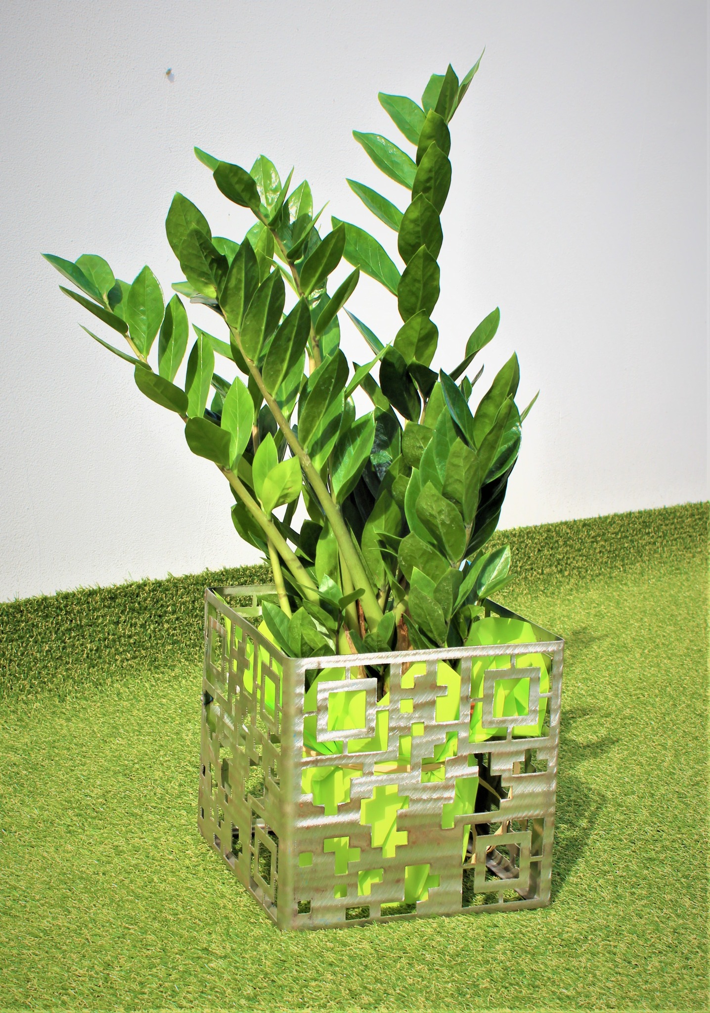 Zamiokulkas w ozdobnej, metalowej donicy z wycinanym wzorem geometrycznym, ustawiony na sztucznej trawie przed białą ścianą.