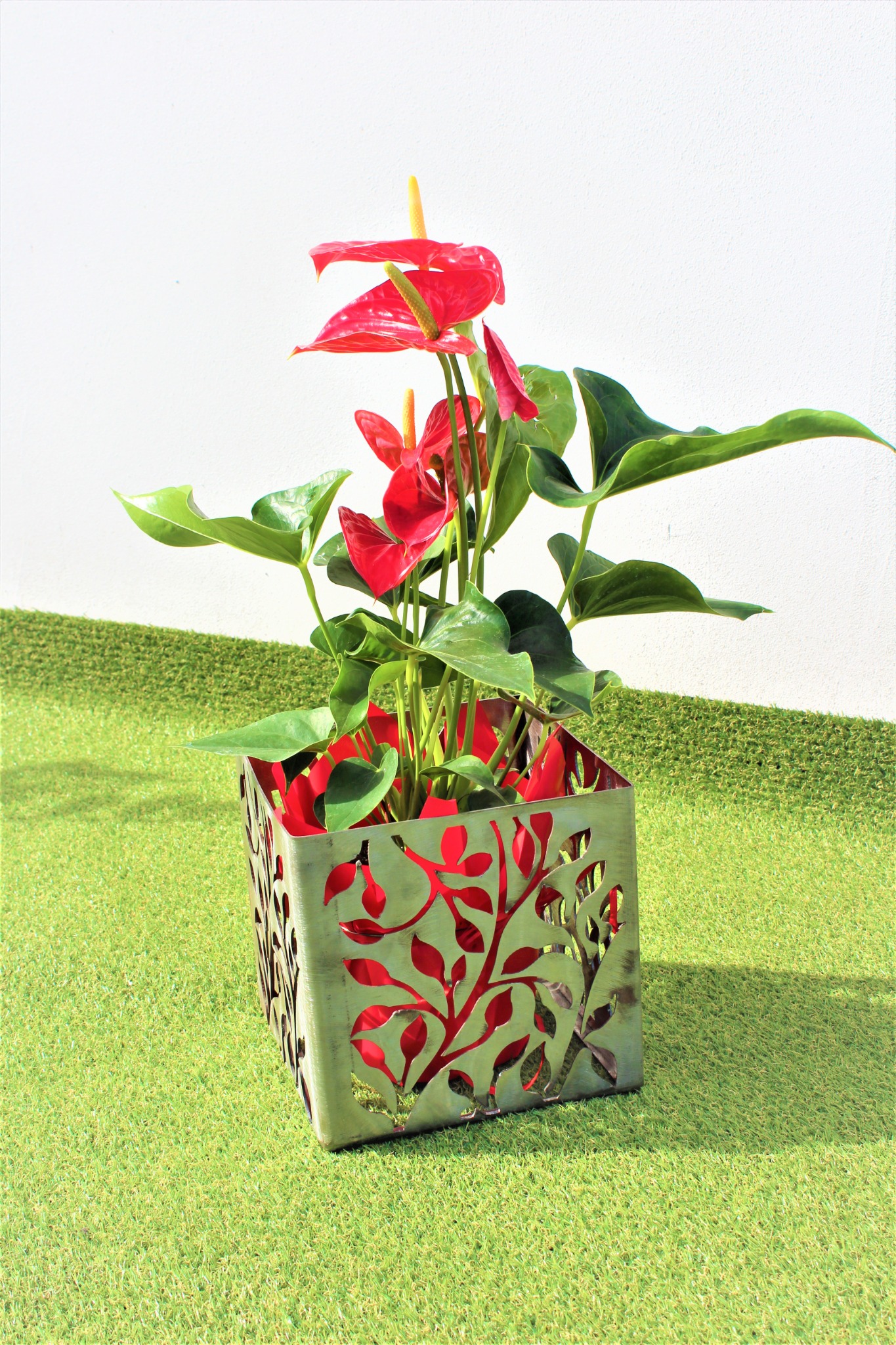 Kwadratowa, metalowa osłonka z wycinanym motywem drzewa, wypełniona kwitnącą na czerwono anturium, ustawiona na sztucznej trawie przed białą ścianą.