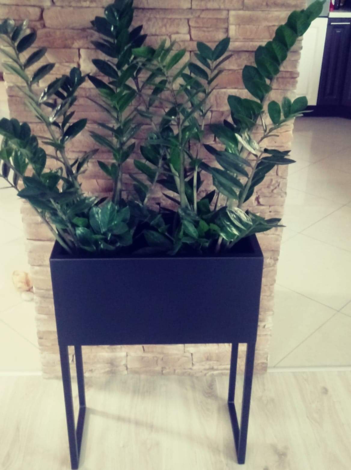 Czarna, metalowa donica na wysokich nóżkach, w której rośnie zielona roślina, ustawiona na jasnej podłodze przy ścianie wyłożonej kamieniami.