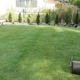 Wycinka drzew Warszawa 4