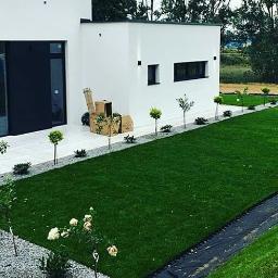 Wycinka drzew Warszawa 2