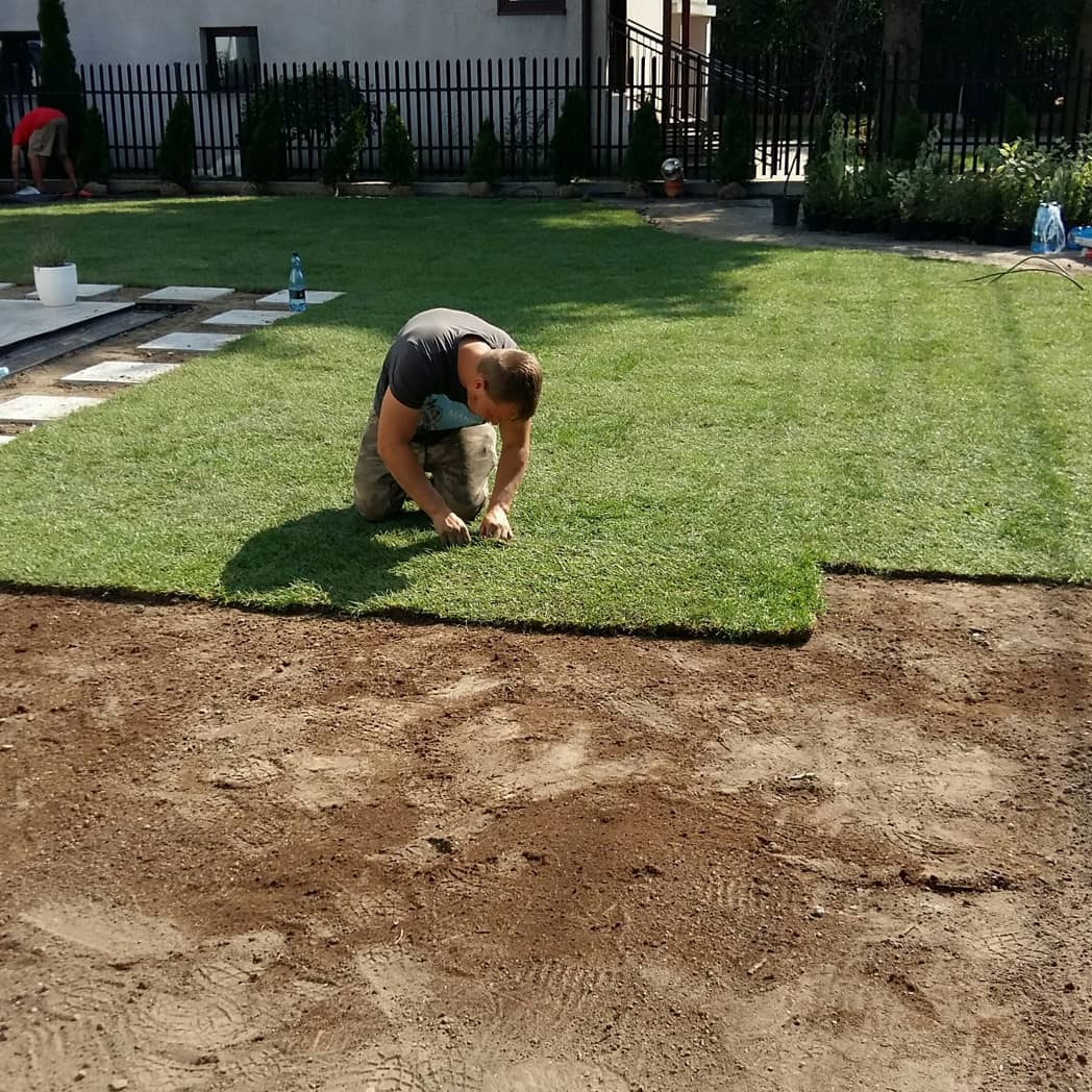 Mężczyzna na kolanach dopasowuje brzeg rolki trawy do przygotowanego podłoża w ogrodzie, w tle widoczny fragment ułożonej trawy, dom i ogrodzenie.