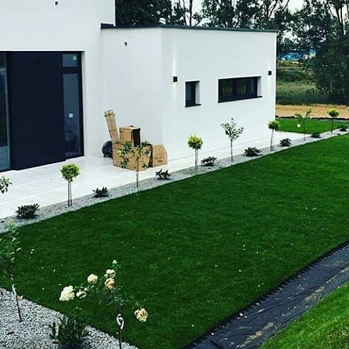 Nowoczesny ogród z równo przystrzyżonym trawnikiem, młodymi drzewkami wzdłuż ścieżki z białego kamienia i minimalistycznym białym budynkiem w tle, z kartonami stojącymi obok wejścia.