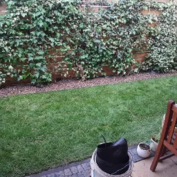 Świeżo założony trawnik z rolki w Legnicy, obrzeża wykończone drobnym żwirem, drewniany płot porośnięty bluszczem, w tle widoczny fragment tarasu z drewnianym stołem.