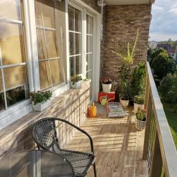 Glazurnik Warszawa 1