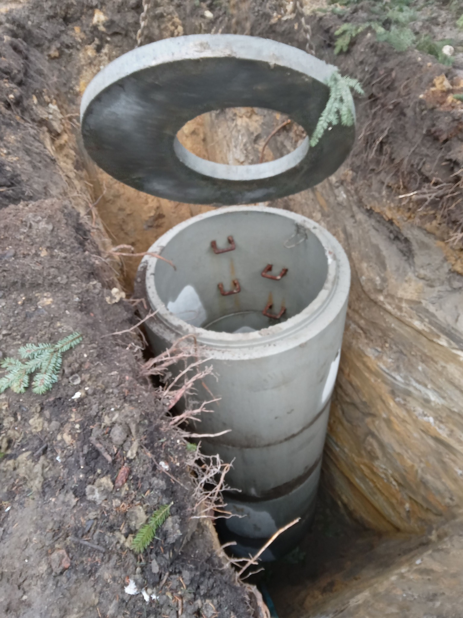 Betonowa studzienka kanalizacyjna z pokrywą w wykopie, widoczne uchwyty montażowe i gałązki świerku na ziemi.