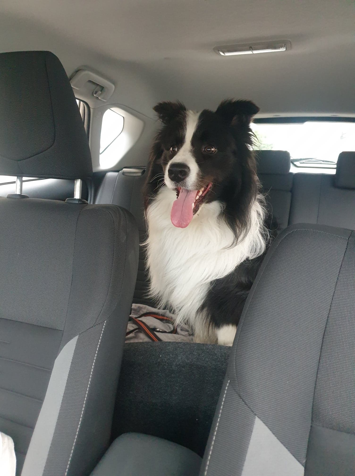 Nix w podróży ze mną ;-)