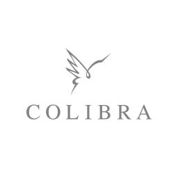 Colibra Dystrybucja Sp. z o.o. - Doradca techniczny Pruszków