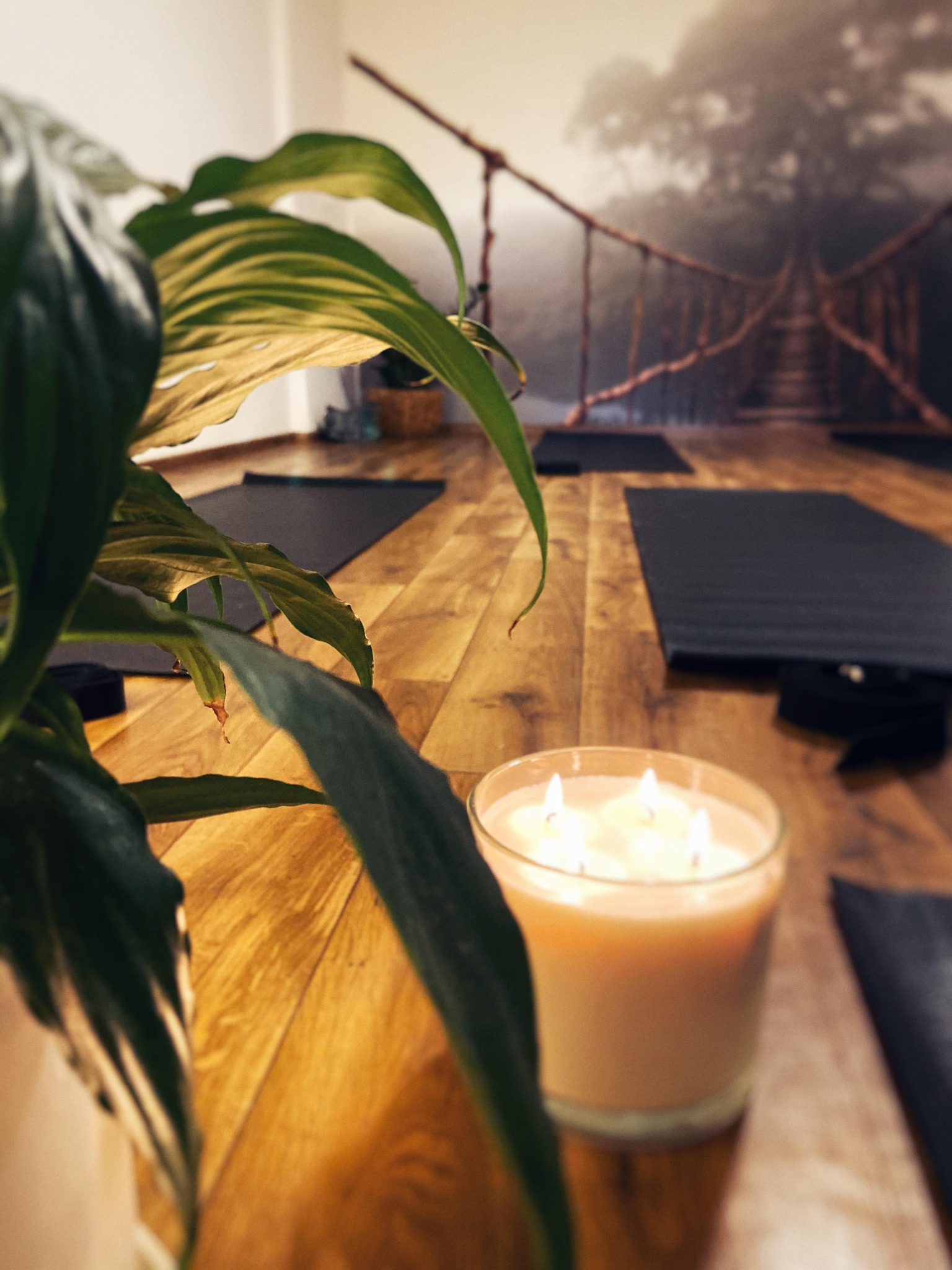 Sala do ćwiczeń z drewnianą podłogą, matami do jogi, świecą zapachową i rośliną doniczkową na pierwszym planie, w tle fototapeta z motywem mostu linowego w lesie.