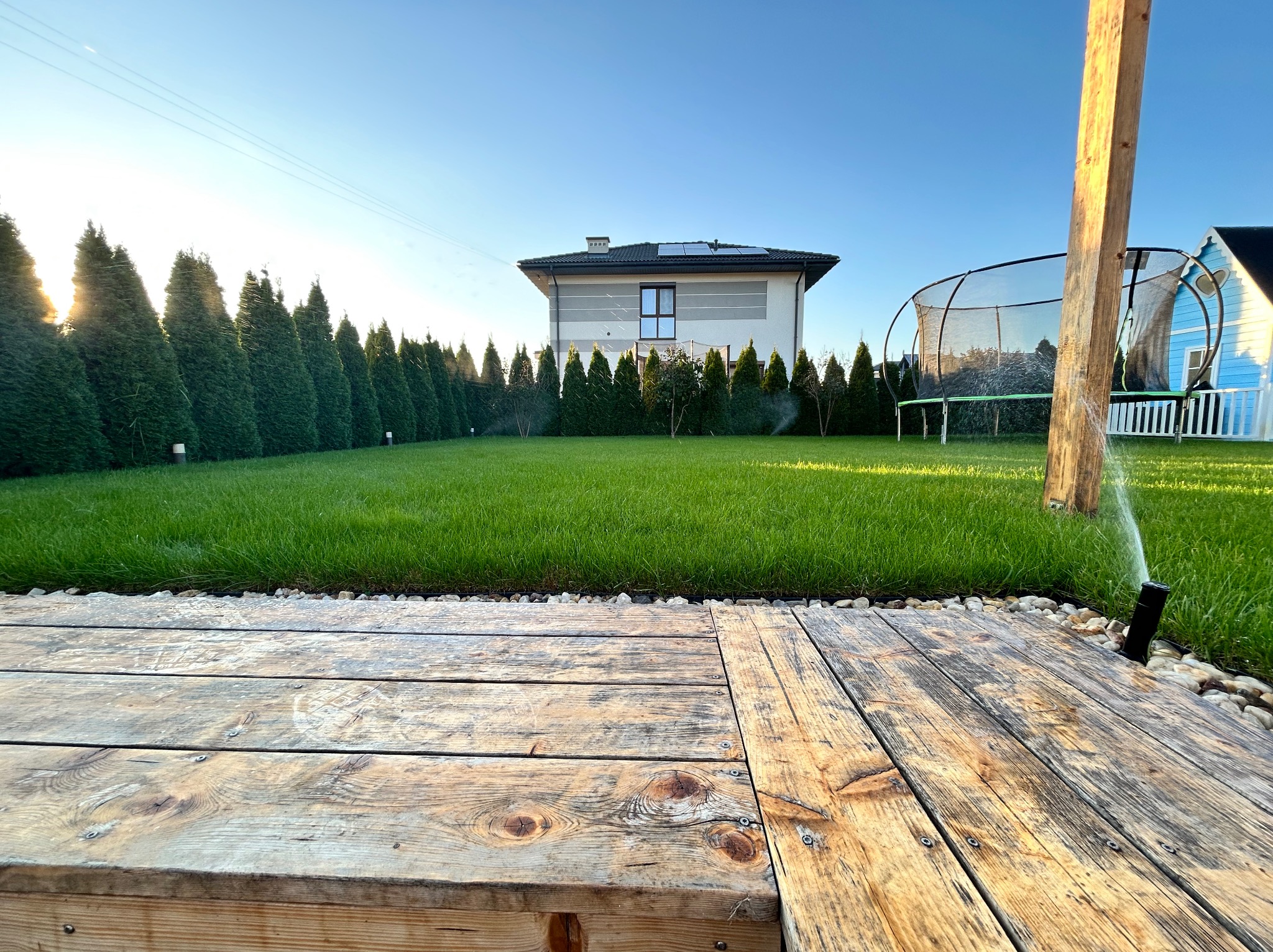 Widok na trawnik z perspektywy drewnianego tarasu; w tle dom, rząd tuj i działający zraszacz.