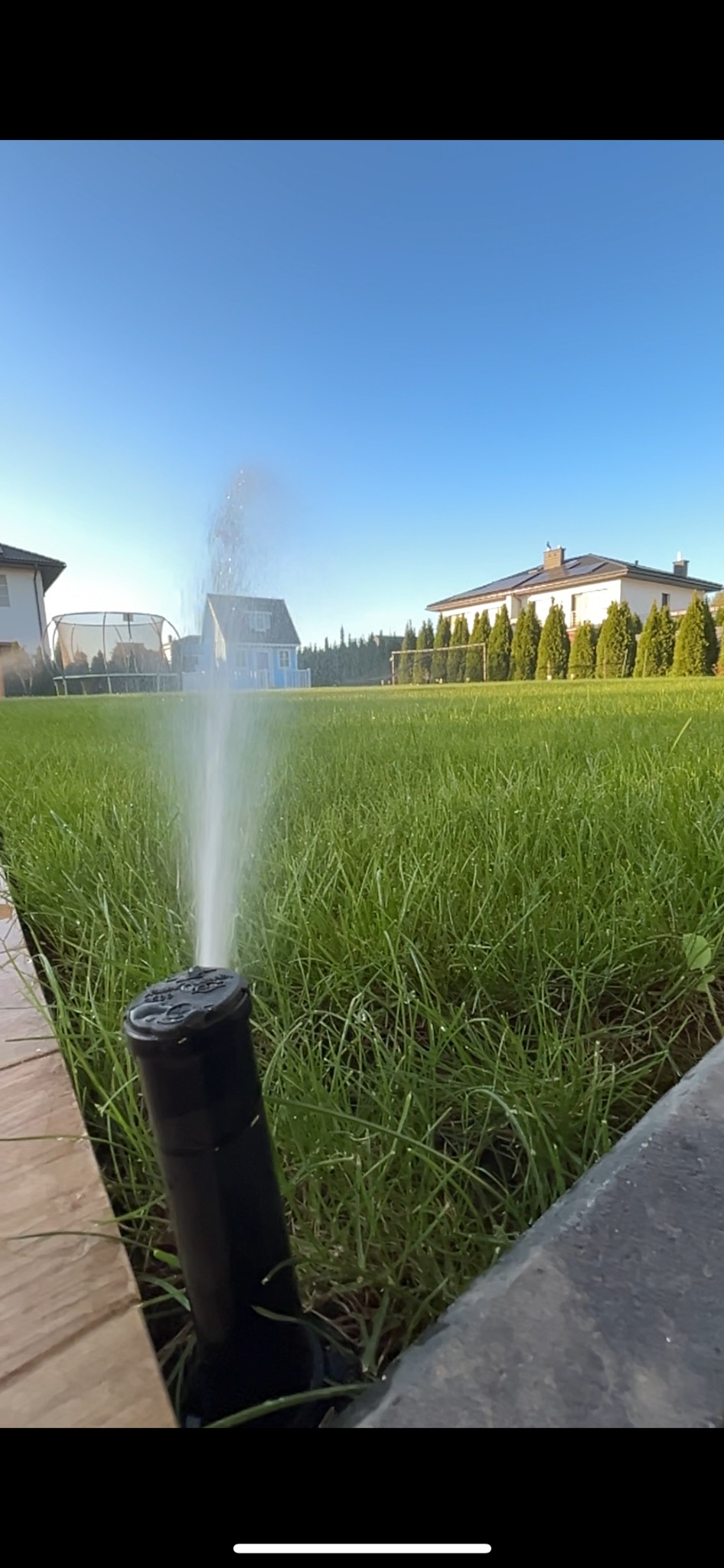 Działający zraszacz wynurzalny, nawadniający trawnik z widocznymi kroplami wody, w tle domy i rząd strzyżonych iglaków.