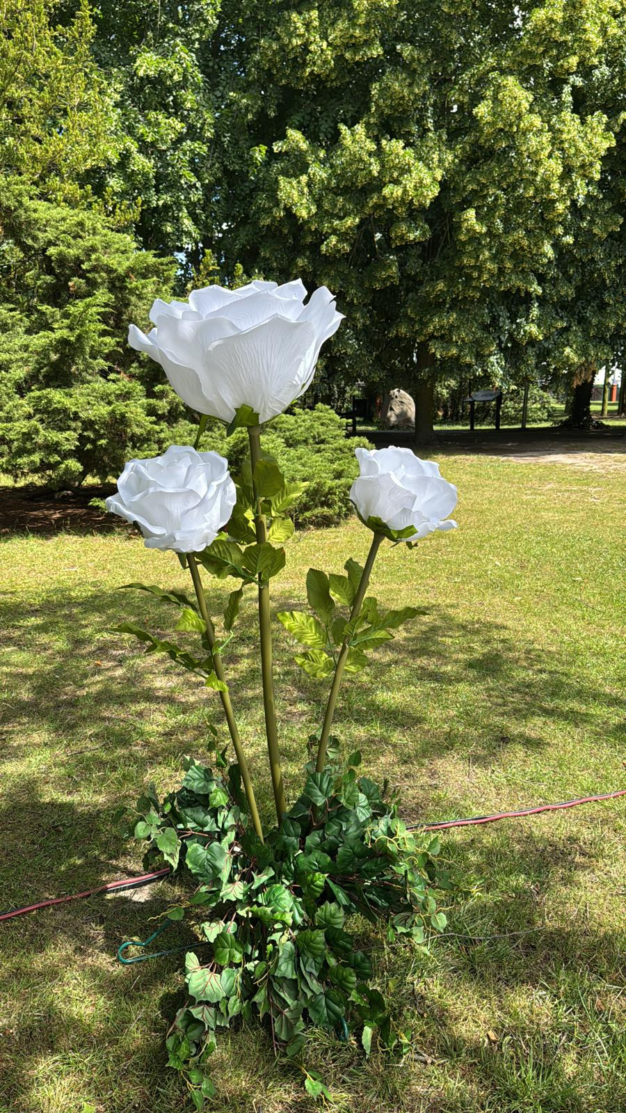 Gigantyczne kwiaty, wielkie róże.