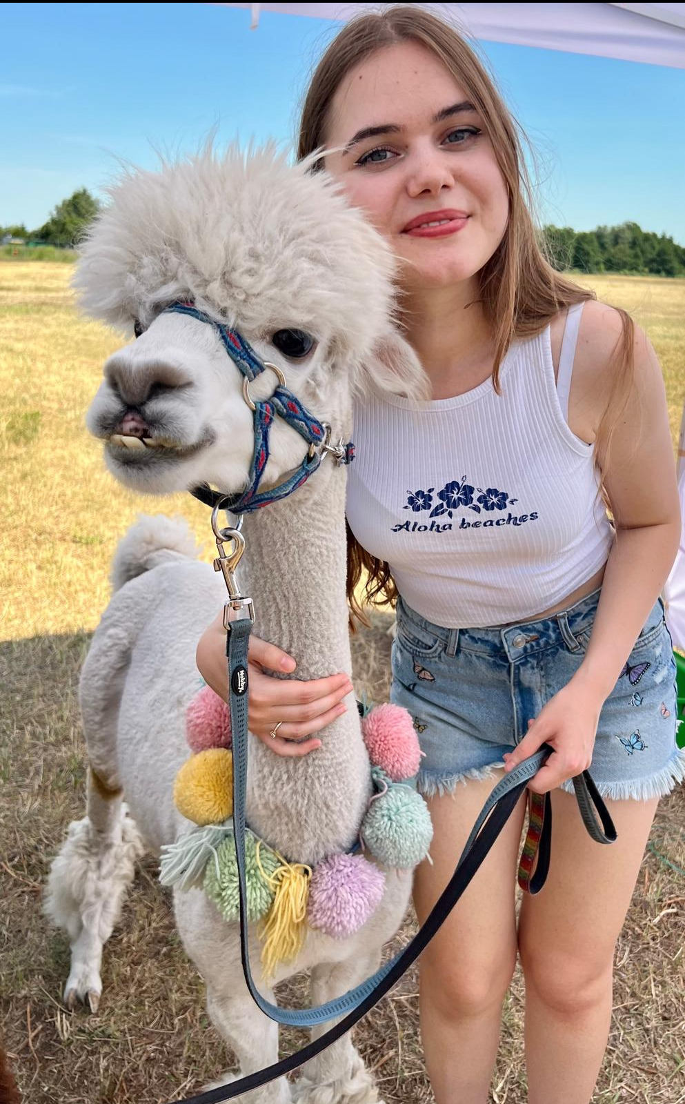 Uśmiechnięta dziewczyna obejmuje białą alpakę z ozdobnym uprzężem na tle pola, prawdopodobnie podczas imprezy plenerowej.