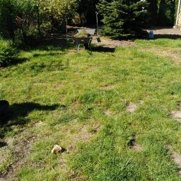 Pielęgnacja ogrodów Poznań 3