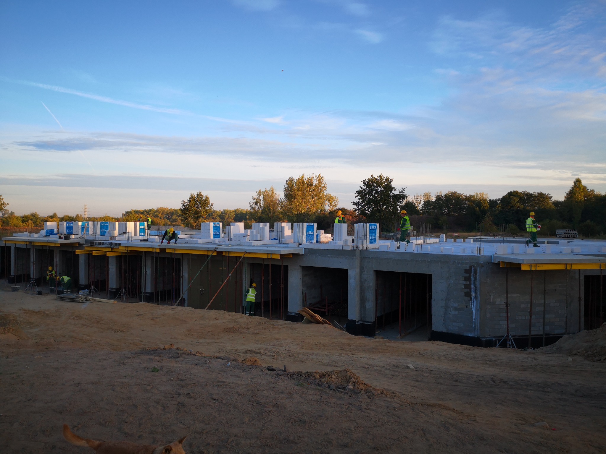 Budowa szeregu domów jednorodzinnych w trakcie wznoszenia ścian parteru, widoczni pracownicy w żółtych kamizelkach i kaskach, bloczki Silka na stropie, teren budowy z ziemią i piaskiem, błękitne...