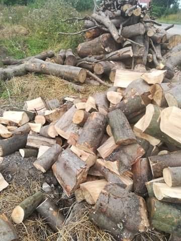 Stos pociętych klocków i gałęzi drewna na trawie, częściowo wyschniętej, z widocznymi śladami kory i sęków.