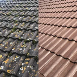 Porównanie dachu przed i po czyszczeniu: po lewej stronie dach pokryty mchem i porostami, po prawej czysty, brązowy dach z dachówki ceramicznej.