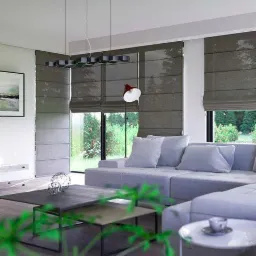 Nowoczesny salon z szarymi roletami rzymskimi, minimalistycznym oświetleniem i widokiem na zielony ogród przez okno.