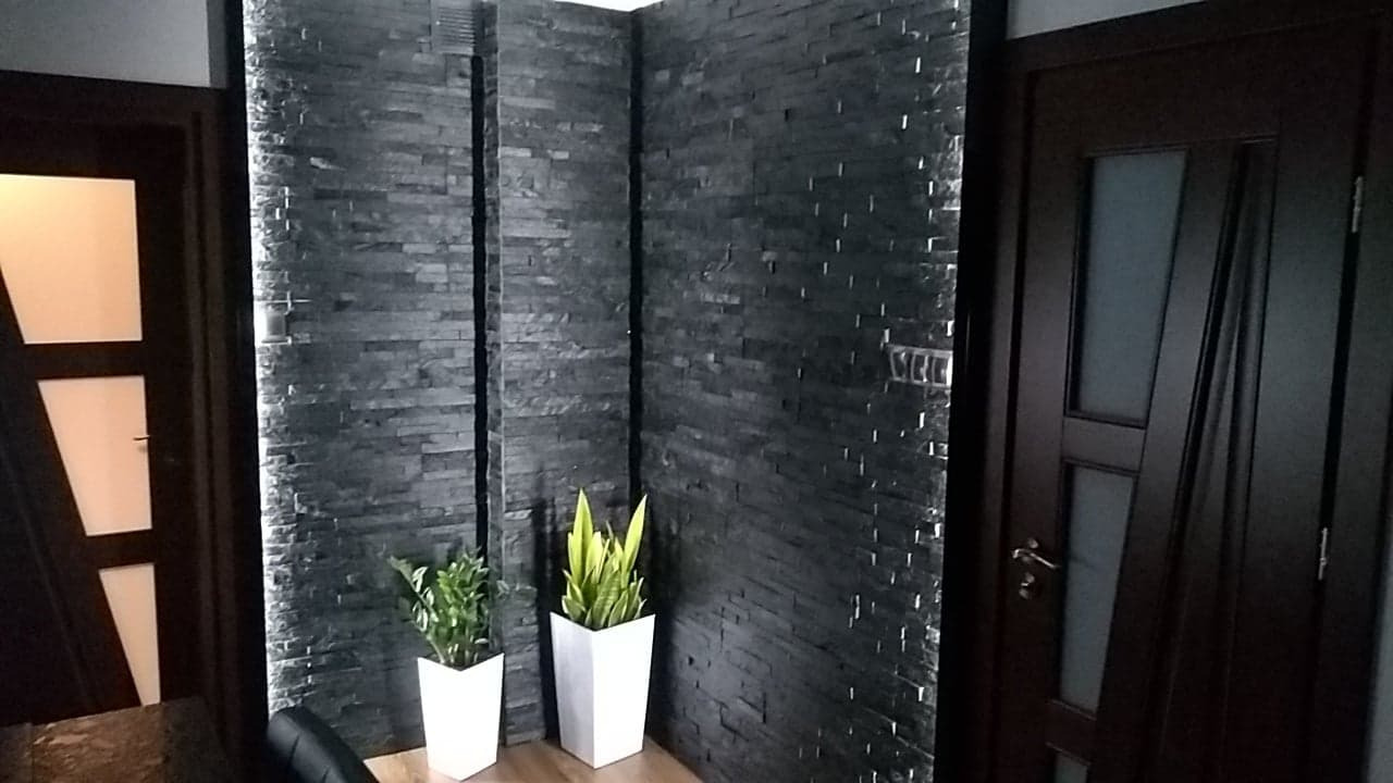Ściana wyłożona czarnym kamieniem dekoracyjnym, oświetlona listwami LED, z dwiema doniczkami z zielonymi roślinami i dwoma ciemnymi drzwiami po bokach.