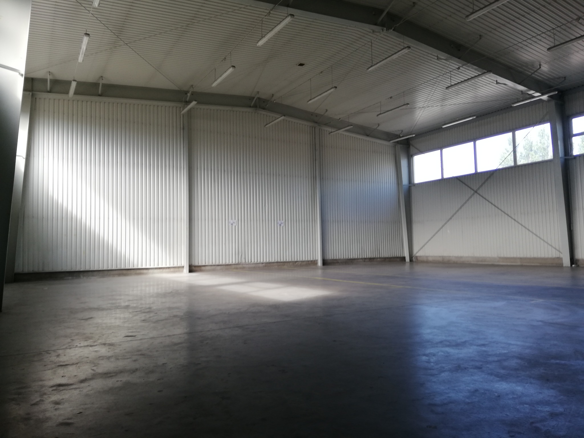 Puste wnętrze magazynu z betonową podłogą, oświetleniem jarzeniowym i ścianami z blachy falistej, z widocznymi oknami w górnej części ściany.