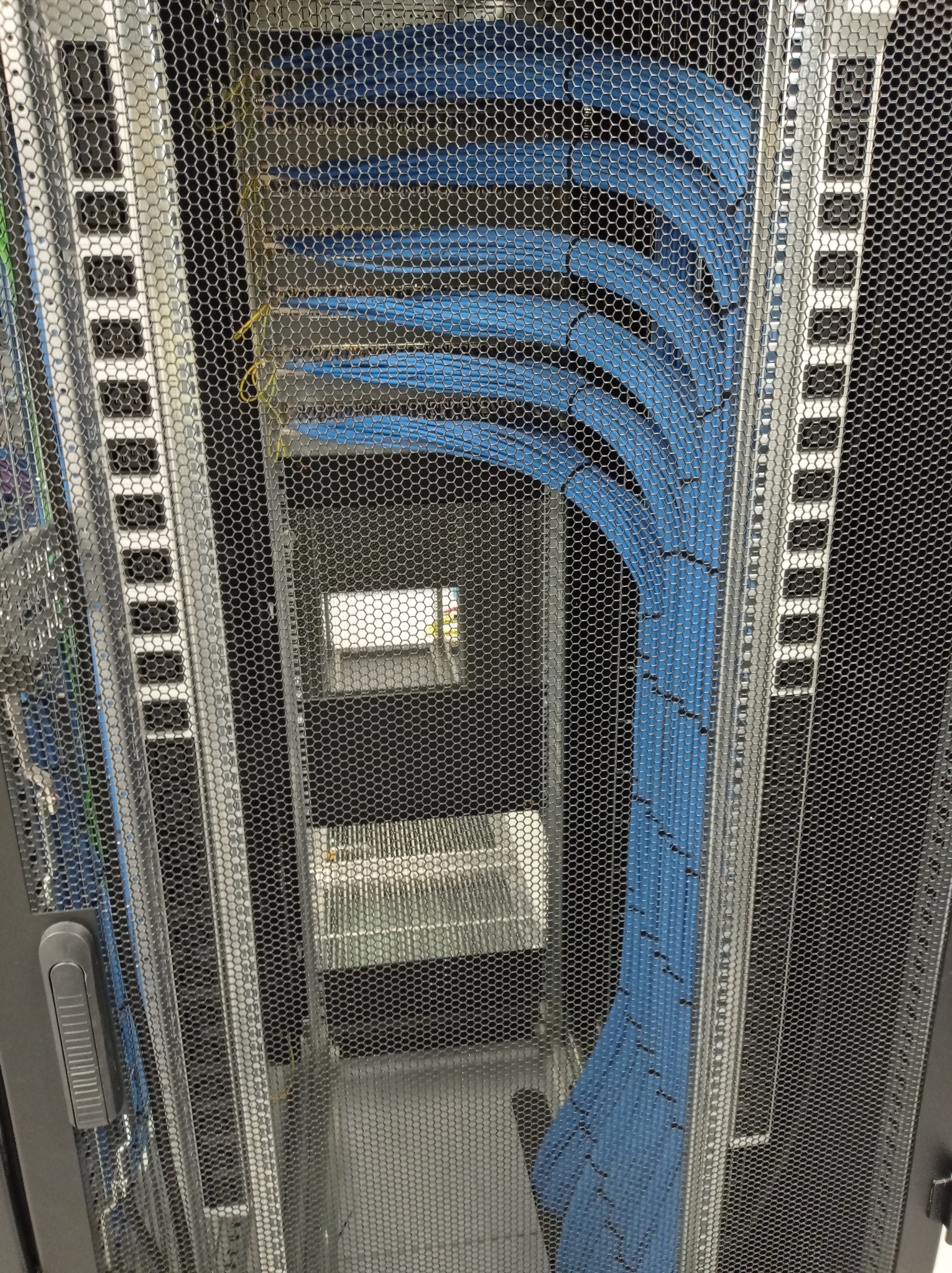 Uporządkowane niebieskie kable w szafie serwerowej, widoczne przez metalową siatkę drzwi, z perspektywą wgłąb szafy.