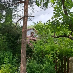 Pracownik na dachu domu z czerwonej dachówki, widoczny spoza drzew i zieleni, przy oknie na poddaszu. Prace dekarskie w otoczeniu natury.