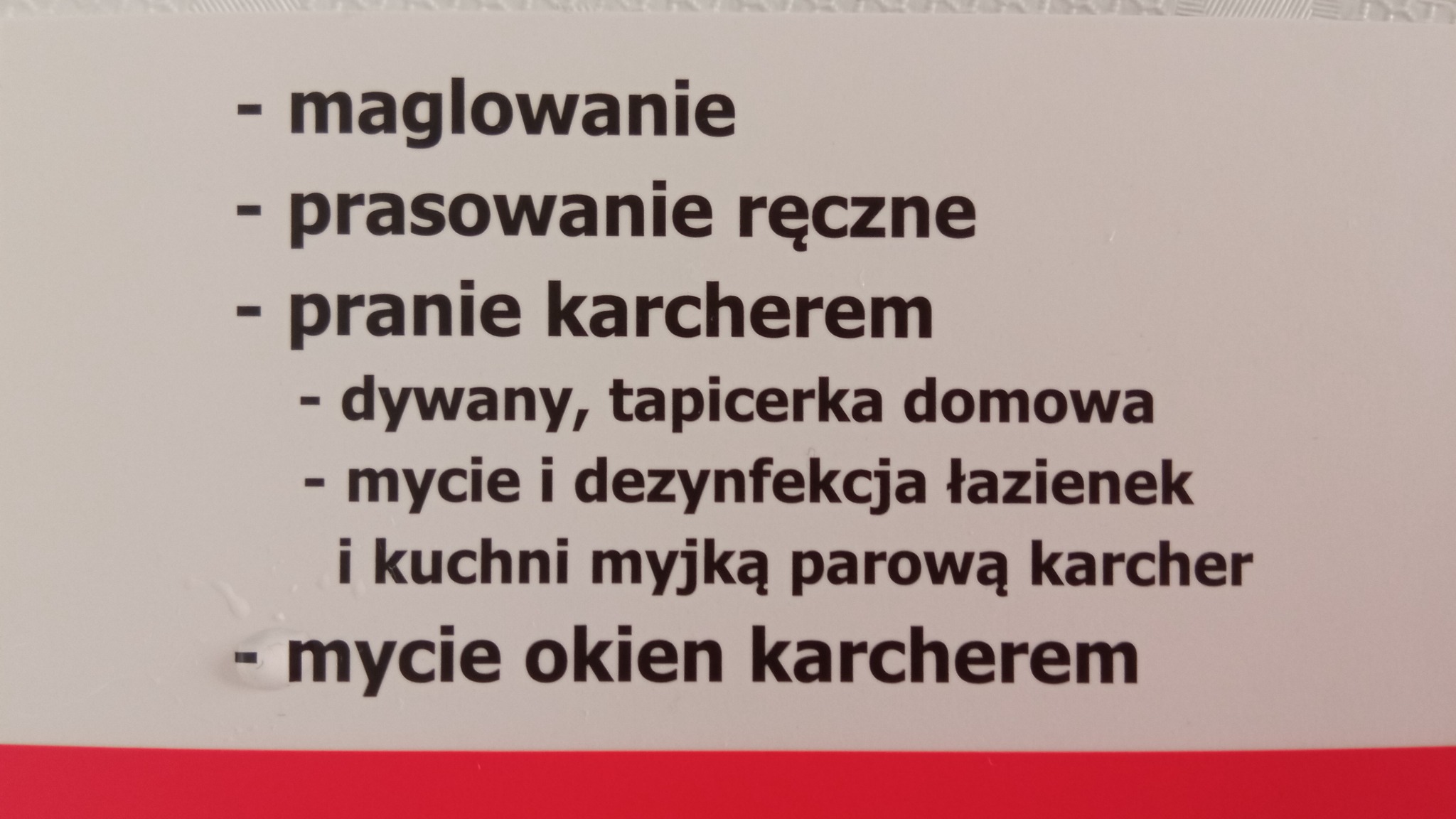 Wyświetlona lista usług: maglowanie, prasowanie ręczne, pranie Karcherem, dywany i tapicerka domowa, mycie i dezynfekcja łazienek i kuchni myjką parową Karcher, mycie okien Karcherem.
