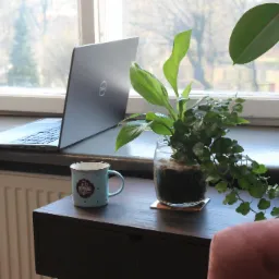 Laptop Dell, kubek z napisem 'The best morning coffee' i szklany wazon z rośliną na drewnianej komodzie przy oknie z widokiem na drzewa.