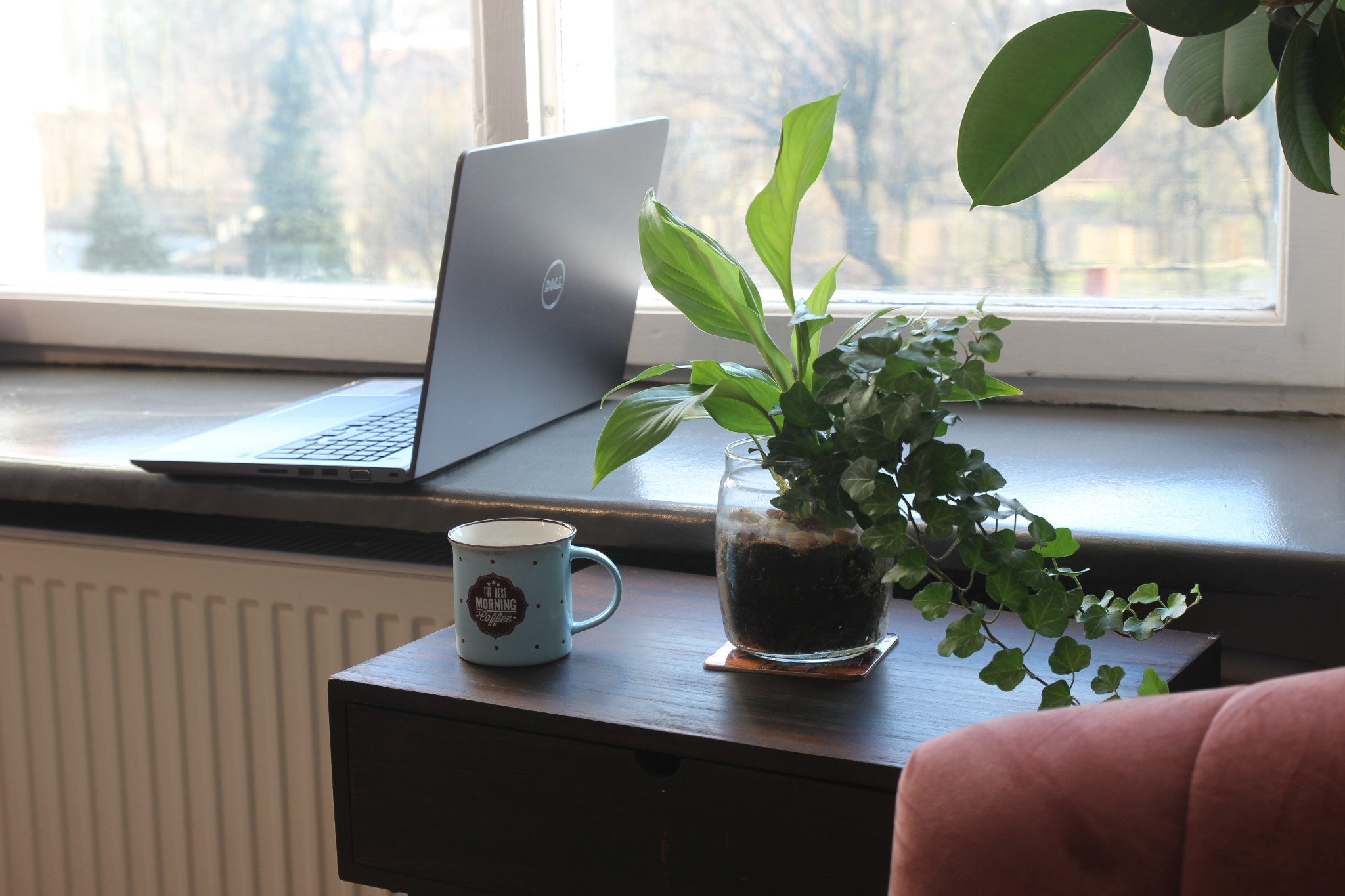 Laptop Dell, kubek z napisem 'The best morning coffee' i szklany wazon z rośliną na drewnianej komodzie przy oknie z widokiem na drzewa.