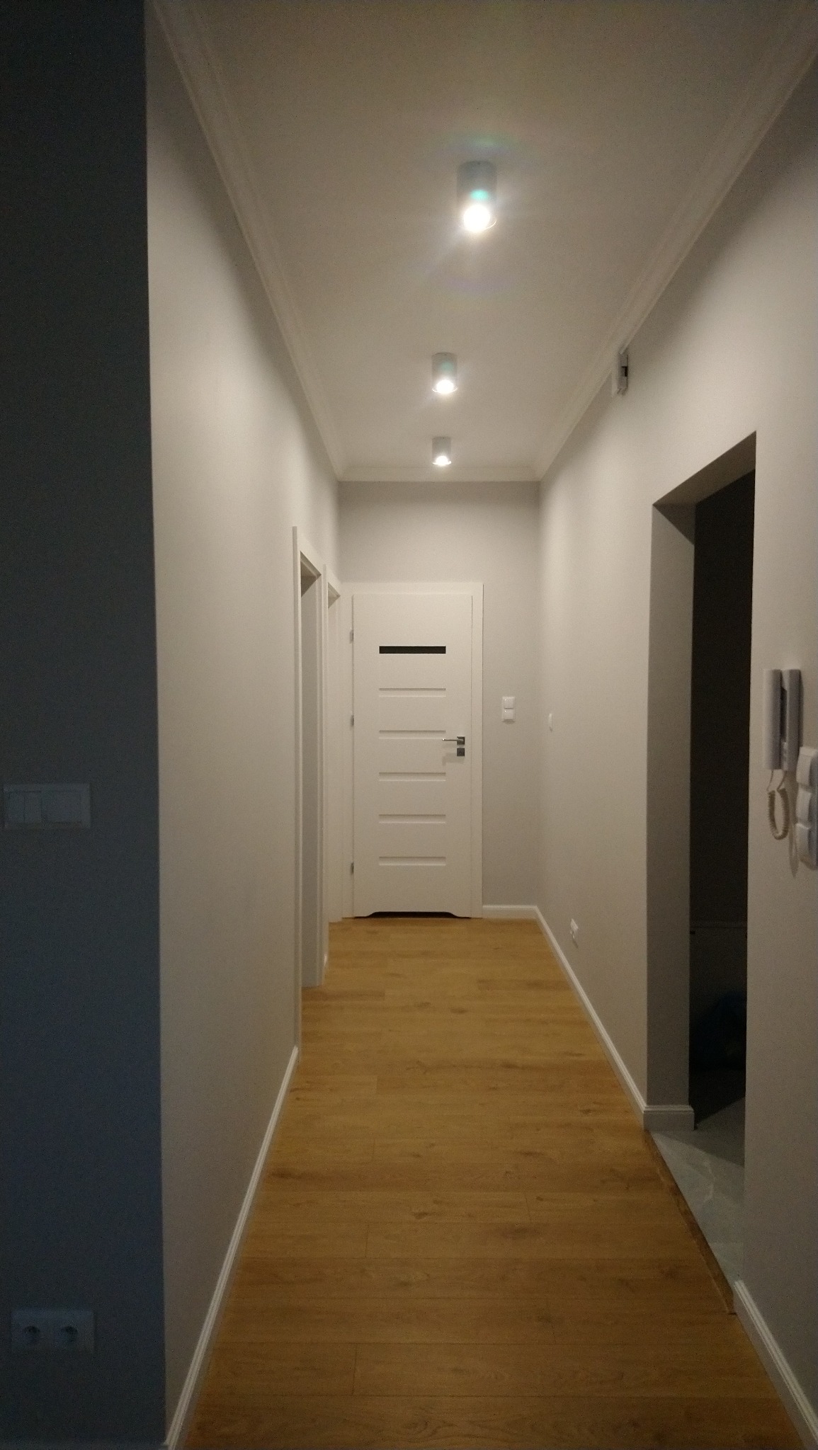 Nowoczesny korytarz z drewnianą podłogą, szarymi ścianami, białymi drzwiami z poziomym przeszkleniem i trzema punktowymi lampami sufitowymi.