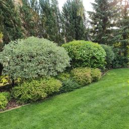 Projektowanie ogrodów Łomianki 1