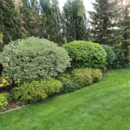 Zadbany ogród z równo przystrzyżonym trawnikiem, różnorodnymi krzewami ozdobnymi i wysokimi drzewami iglastymi w tle, oświetlony popołudniowym słońcem.